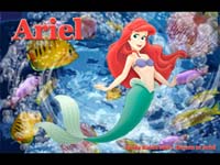  Обойка "Ariel, Whirpool" 