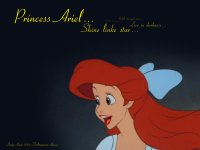  Обойка "Princess Ariel" 